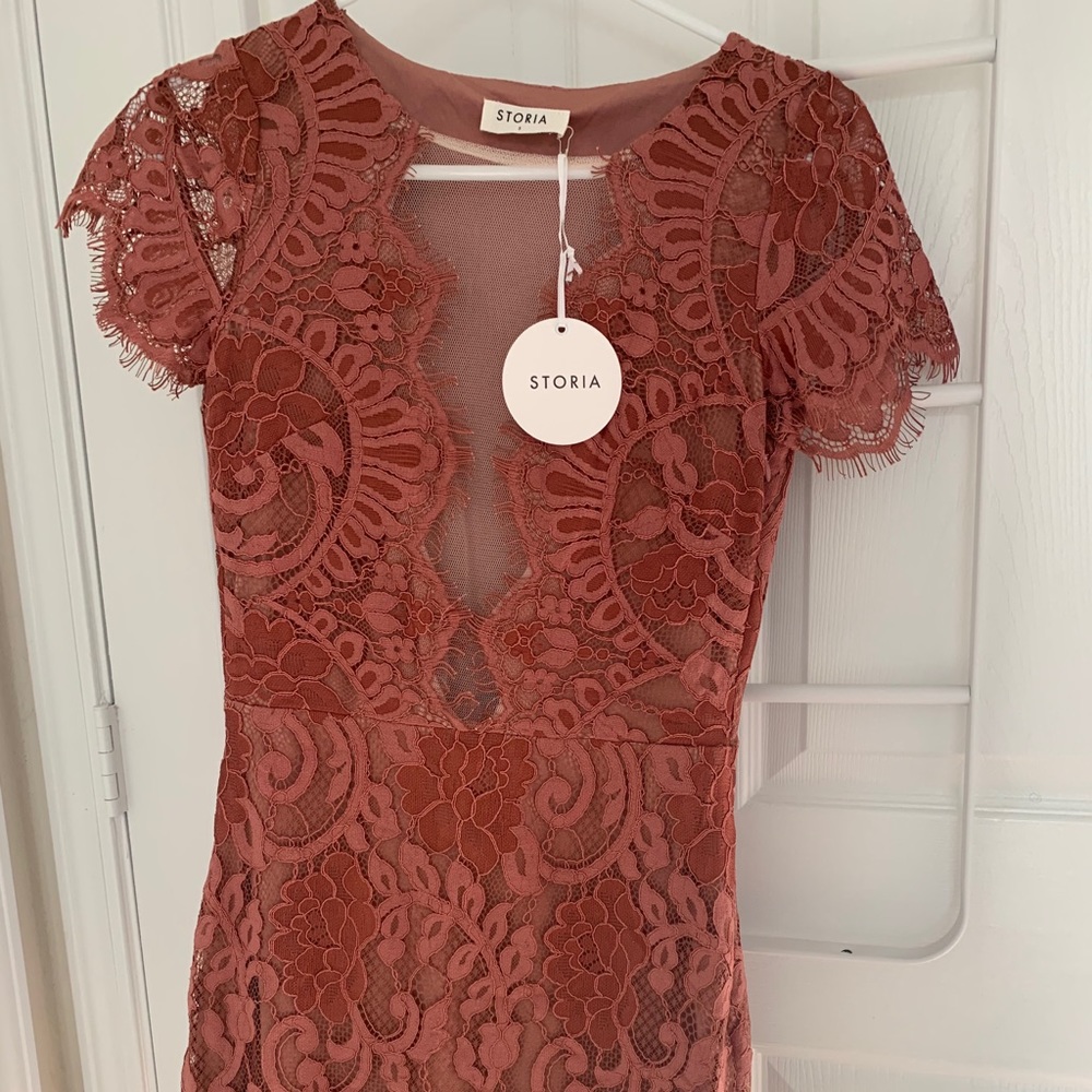 Storia Blush Floral Lace Mesh Cocktail Party Dress